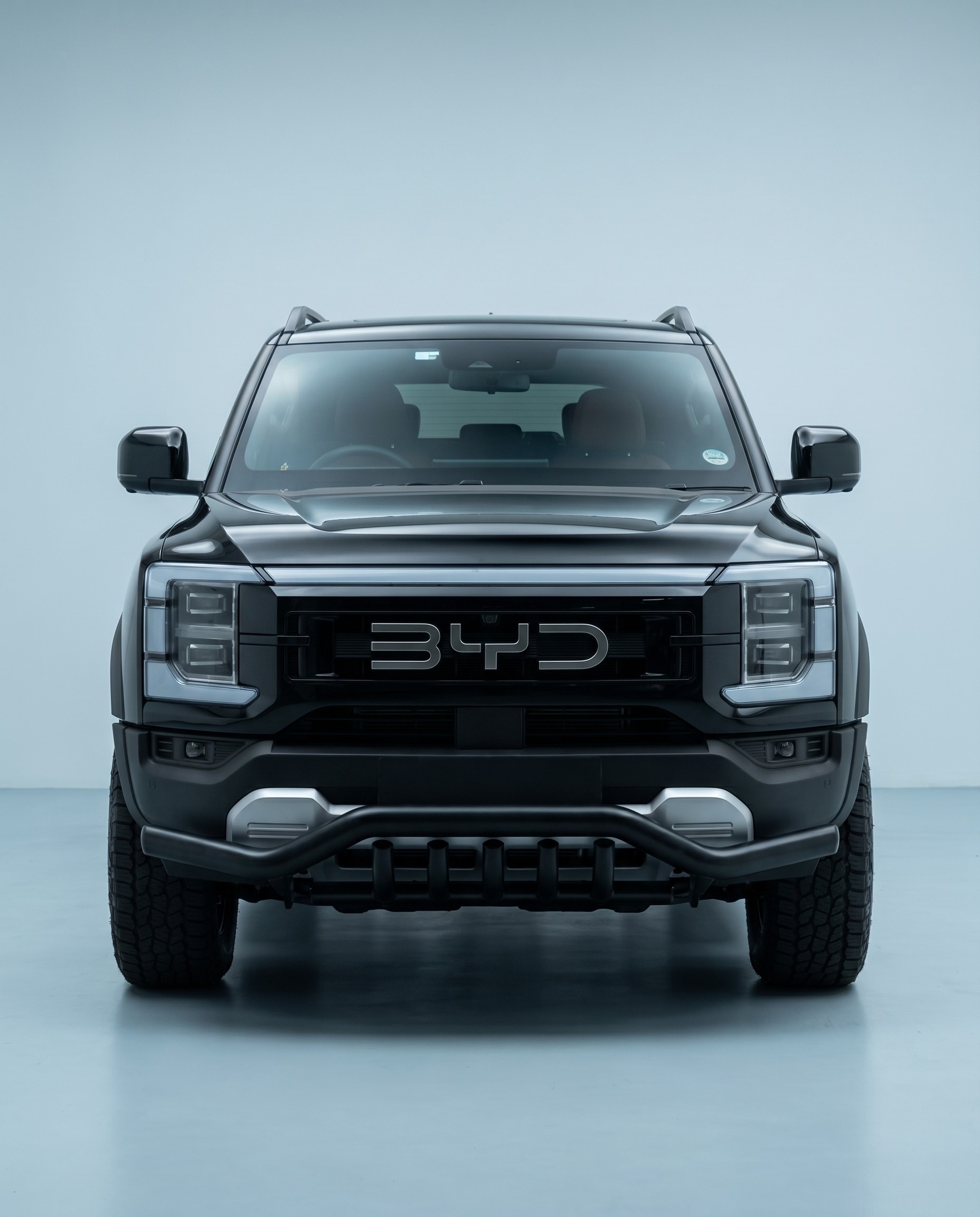 Artav BYD Shark PREDATOR Styling Bar
